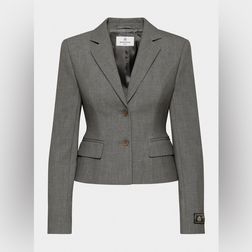 Aritzia Babaton Curate Blazer in Heather Charcoal Size 4 BNWT